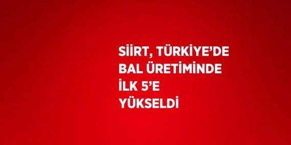 SİİRT, TÜRKİYE’DE BAL ÜRETİMİNDE İLK 5’E YÜKSELDİ