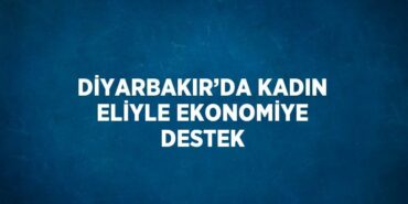 31798275742050728746tasarimli