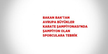 31804300042295830663