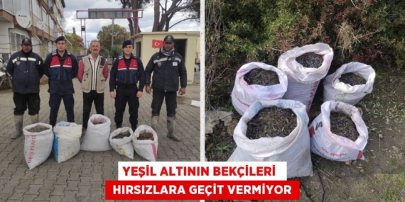 YEŞİL ALTININ BEKÇİLERİ   HIRSIZLARA GEÇİT VERMİYOR