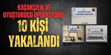 31805255992759229702