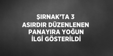 31812276802924026538tasarimli