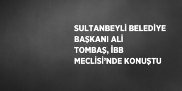 31813312052256121246