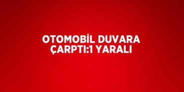 31815220342170421885tasarimli