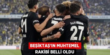 31815266892903020236tasarimli