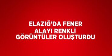 31820236902726729414tasarimli