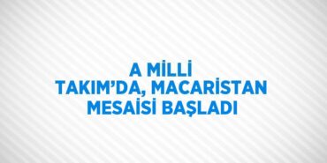 31821208582111631810tasarimli