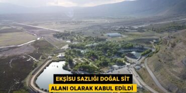 31821239863134630416tasarimli