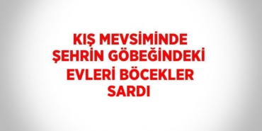 31821309652777431730tasarimli