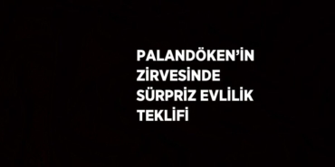 31823256612343627214