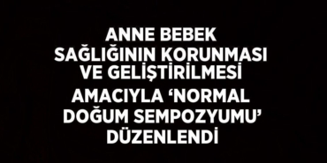 31831252012442827479tasarimli