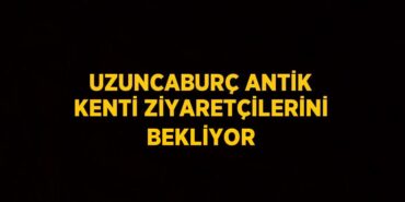 31831276982293527436tasarimli