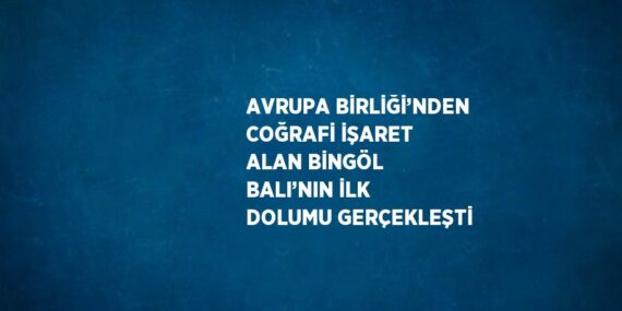 AVRUPA BİRLİĞİ’NDEN COĞRAFİ İŞARET ALAN BİNGÖL BALI’NIN İLK DOLUMU GERÇEKLEŞTİ