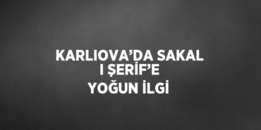 31842291983042128027tasarimli