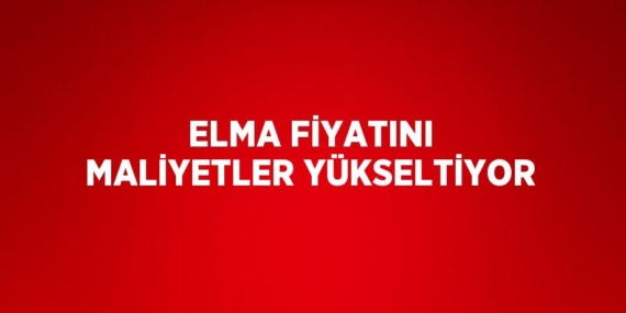 ELMA FİYATINI MALİYETLER YÜKSELTİYOR