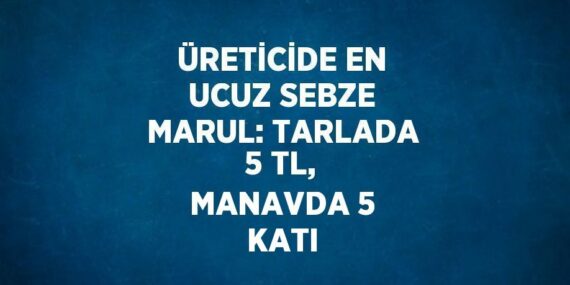ÜRETİCİDE EN UCUZ SEBZE MARUL: TARLADA 5 TL, MANAVDA 5 KATI