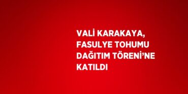 31847266543187320702