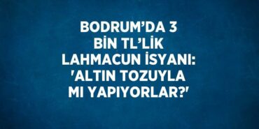 31848213933081126674tasarimli