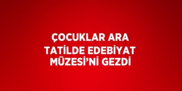 31856257352410926980tasarimli
