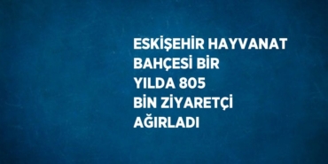 31858204762457227622