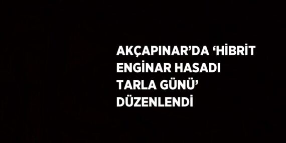 AKÇAPINAR’DA ‘HİBRİT ENGİNAR HASADI TARLA GÜNÜ’ DÜZENLENDİ
