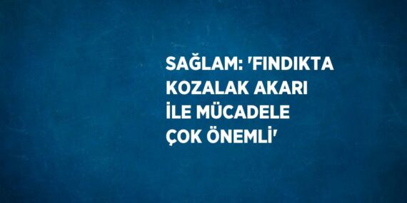 SAĞLAM: ‘FINDIKTA KOZALAK AKARI İLE MÜCADELE ÇOK ÖNEMLİ’