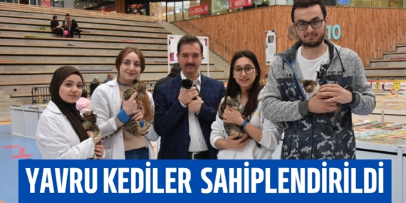YAVRU KEDİLER  SAHİPLENDİRİLDİ
