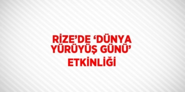 31877213732784425355tasarimli