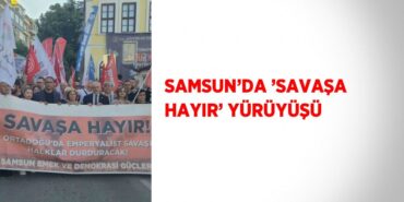 31883252722044022250