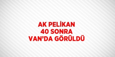 31886297592137328327tasarimli