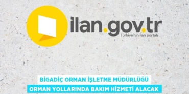 31887259092843925651tasarimli