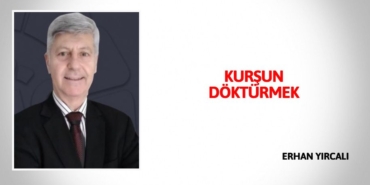 31889307372155626256