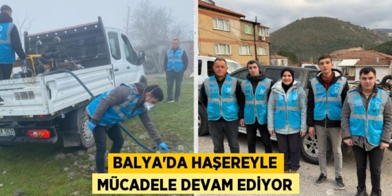 BALYA’DA HAŞEREYLE MÜCADELE DEVAM EDİYOR