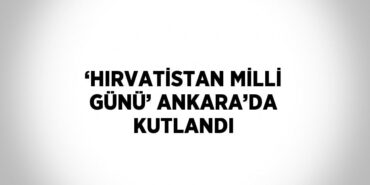 31896279382881226131tasarimli