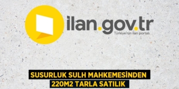 31905243193148624985tasarimli
