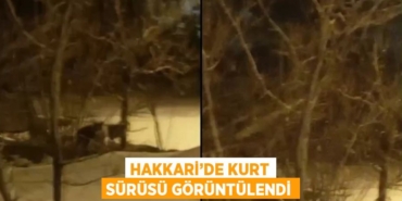 31906202792219328349tasarimli
