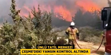 31908270182468225484tasarimli