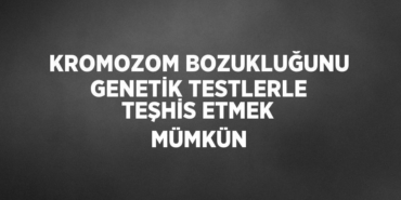 31909202922031124838tasarimli