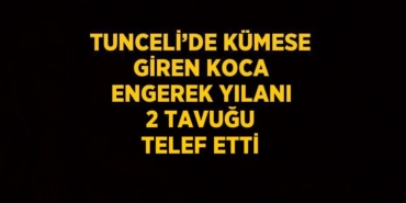 31911222192286527142tasarimli
