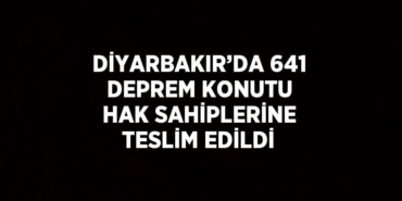 31915258642374731271tasarimli