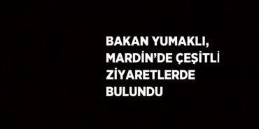 31924231812698722817