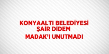 31928219072384323011tasarimli