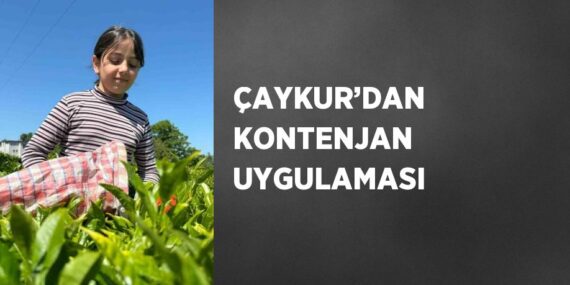 ÇAYKUR’DAN KONTENJAN UYGULAMASI