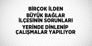 31939243942092225625tasarimli