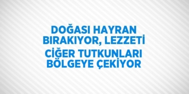 31942293972957928975tasarimli