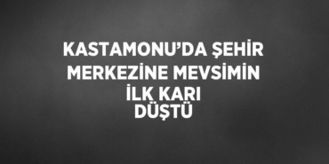 31948283922244022003tasarimli