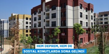 31953216692882723444tasarimli