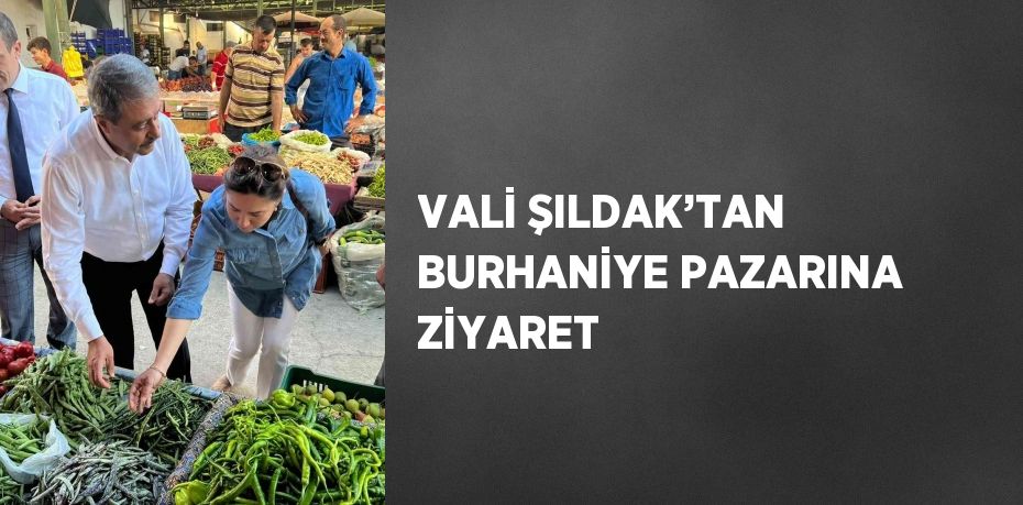 31958286802123231966