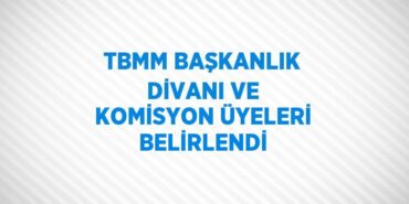 31971222962298420862tasarimli