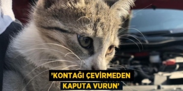 31977253152297421395tasarimli